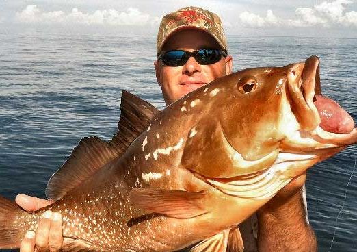 Jacksonville Elton Bottom Fishing Spots for GPS - Georgia Fishing