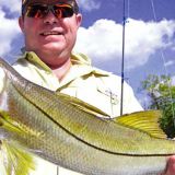 Florida Snook Fishing Spoits