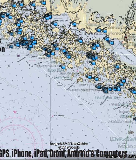 Ten Thousand Islands Fishing Spots