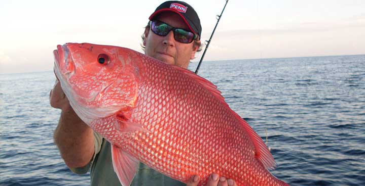Best Red Snapper Fishing in the United States: Locations and Tips