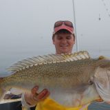 Florida Gulf Deep Drop Fishing - Golden Tilefish