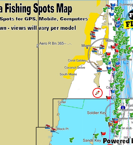 Best Fishing Spots in Miami by Boat w/ GPS Coordinates