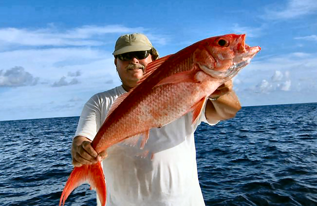Florida Deep Drop Fishing for Queen Snapper