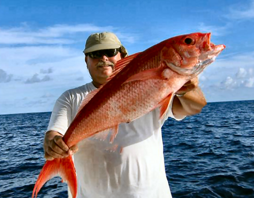 Queen Snapper Fishing at Pulley Ridge
