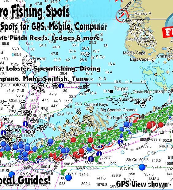 Florida Keys Fishing Spots - Florida Fishing Maps and GPS Fishing
