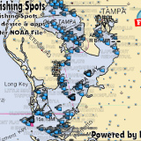 Tampa Bay Fishing Map