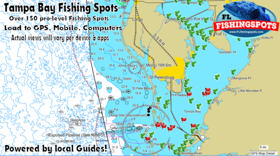 Tampa Bay Fishing Spots - Discover Top Fishing Spots from local Experts