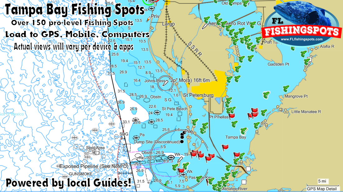 TOP SPOT N202 TAMPA BAY AREA WATERPROOF FISHING & REC MAP 