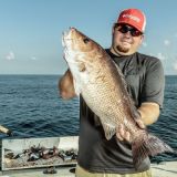 Cedar Key Fishing Spots for Snapper