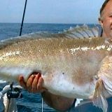 Stuart to Palm Beach Deep Drop Fishing Spots