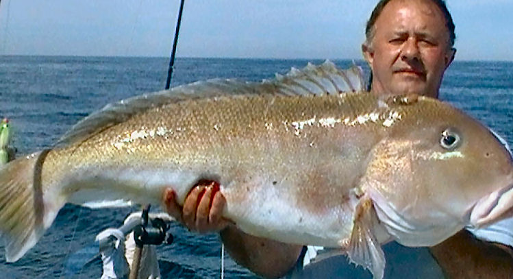 Golden Tilefish Deep Dropping: Be a Gold Digger