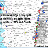 Jacksonville to St Augustine Bluewater Gulf Stream Fishing Spots