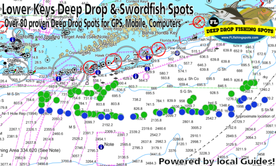 Lower Florida Keys Deep Drop & Swordfish Spots | Deep Drop Spots for GPS