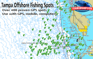 Florida Fishing Maps with GPS Coordinates | Florida Fishing Maps for GPS