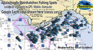 Apalachicola Florida & Steinhatchee Fishing Spots for Offshore Fishing ...