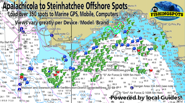 Apalachicola Florida & Steinhatchee Fishing Spots for Offshore Fishing ...