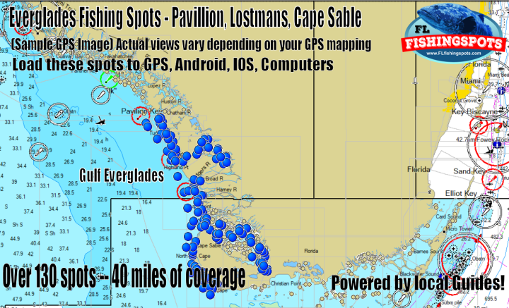 Everglades Fishing Spots - Southwest Gulf