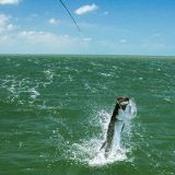 Fishing Spots on Florida Bay