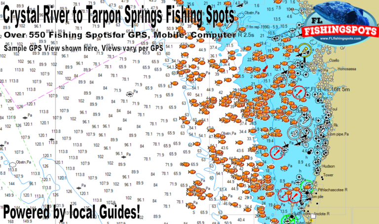 Crystal River to Tarpon Springs Fishing Spots - Florida Fishing Spots