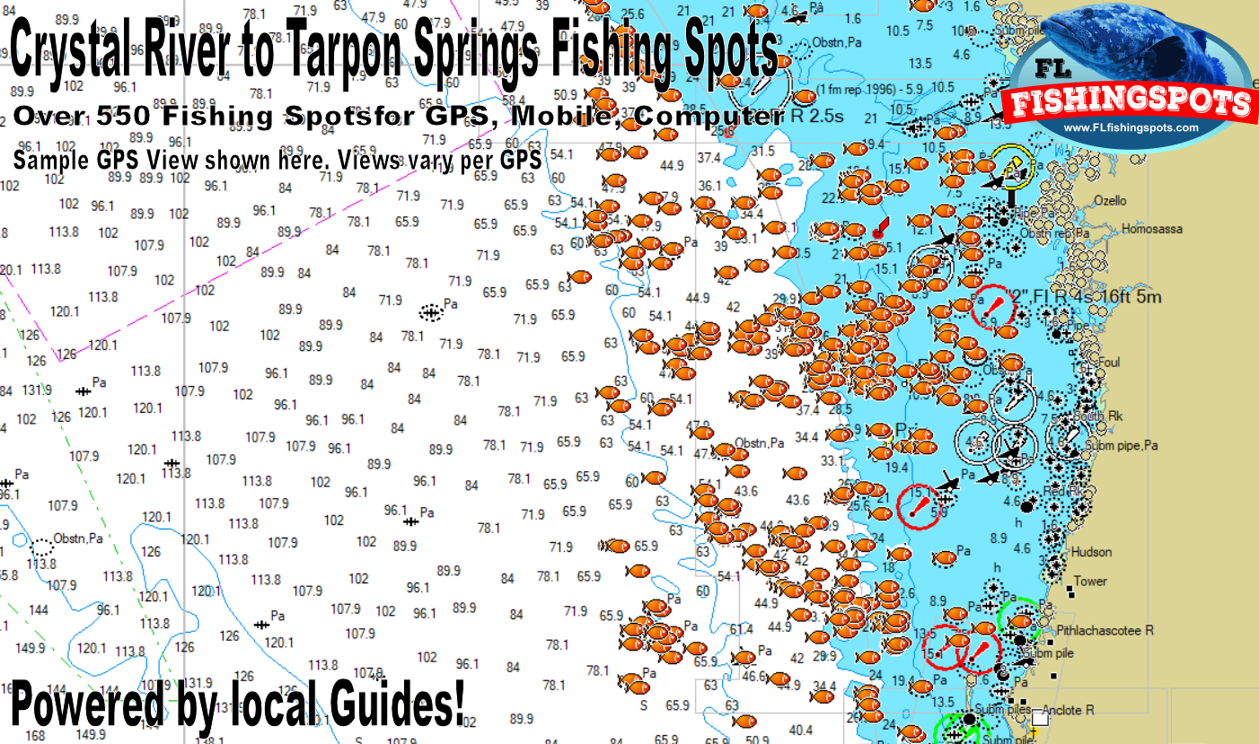 Crystal River Offshore Fishing Spots