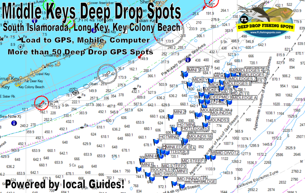 Middle Keys Deep Drop Fishing Spots