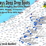 Florida Keys Deep Drop GPS Fishing Spots - Middle Keys Deep Drop Spots