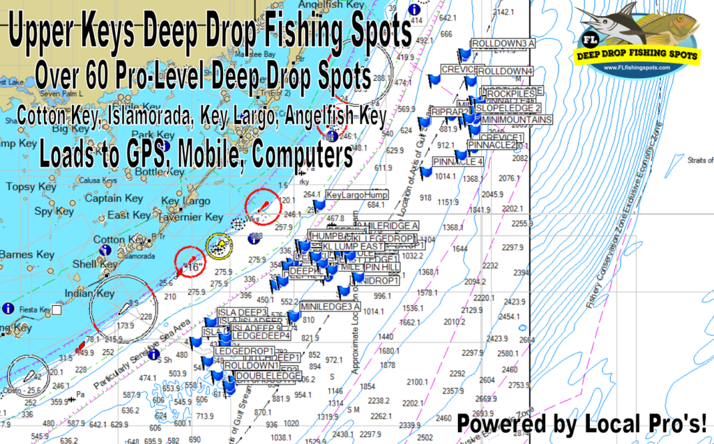 Islamorada and Key Largo Deep Drop Fishing Spots