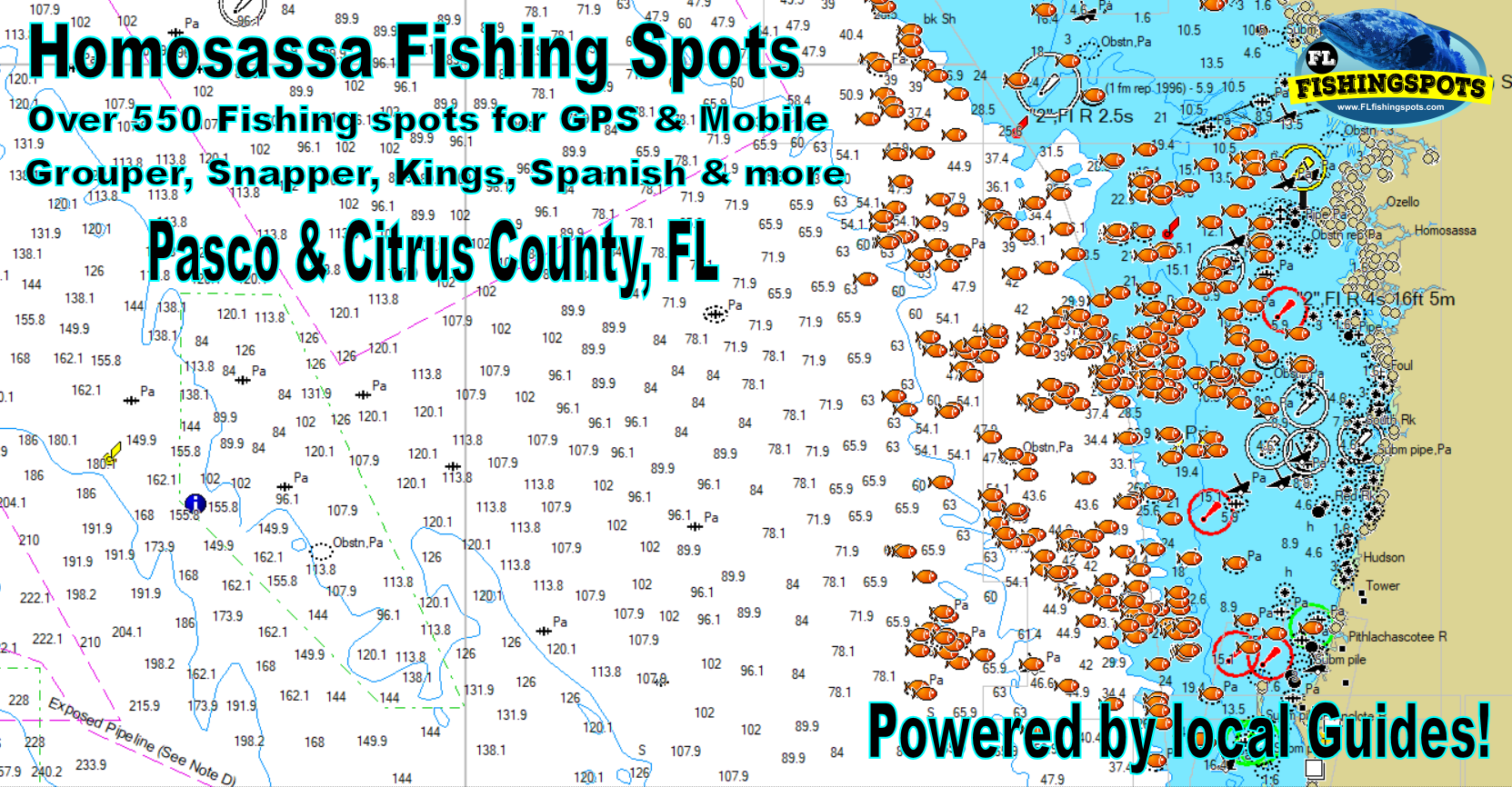 Homosassa Fishing Spots - Pasco County Fishing & GPS Coordinates